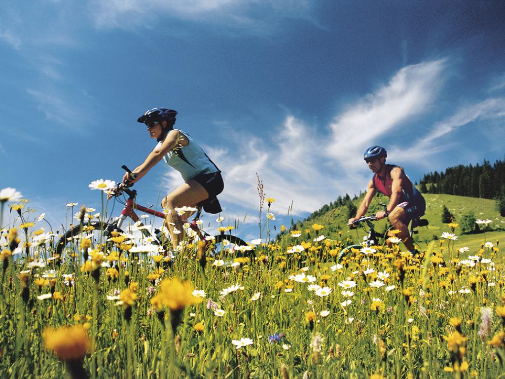 Black forest store mountain biking